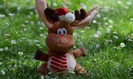 吃瓜横屏搞笑视频素材下载,欢乐无限