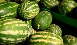 太原万国吃瓜事件视频,一场引发热议的网络狂欢