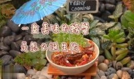 麻瓜能做什么吃的好吃视频,家常美味视频大集合