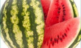 西瓜视频每日聪慧吃瓜