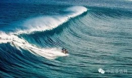 海上恶魔吃瓜视频,揭秘神秘海怪之谜