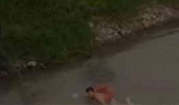 许昌感染者吃瓜事件视频,一场网络视频引发的舆论风波