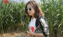 海岸村吃瓜大姐视频,揭秘乡村生活趣味瞬间