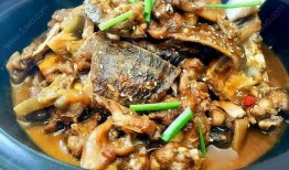 哈密瓜烧甲鱼可以吃吗视频,美味与营养的完美融合