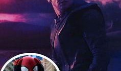 吃瓜视频蜘蛛侠,蜘蛛侠的神秘世界大揭秘