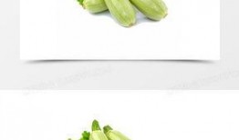 吃葫芦瓜视频素材大全图片