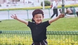 大成吃瓜视频,大成吃瓜视频背后的故事与影响力