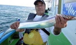 台北吃瓜渔民是谁啊视频,网络红人背后的故事