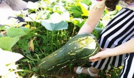 随处都有吃瓜视频素材,随时随地畅享视频素材盛宴