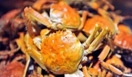 大瓜吃大螃蟹视频播放,视频播放背后的热门现象解析