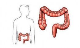 肠镜前可吃哈密瓜吗视频,哈密瓜可否食用揭秘