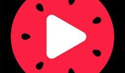 吃瓜视频会员有什么用,解锁精彩内容的秘密钥匙