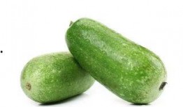 河里长的焦瓜可以吃吗视频,揭秘其可食用之谜