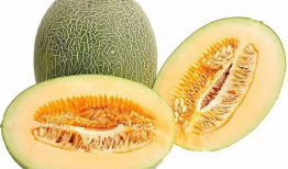 老鼠吃哈密瓜叶子视频,揭秘哈密瓜叶子的美味诱惑