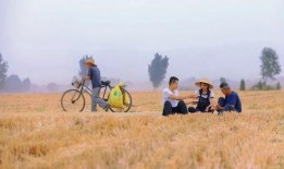 吃瓜视频纪录片大全,吃瓜群众视角下的纪录片全景解析