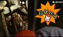 吃瓜三段视频免费观看,带你轻松解锁娱乐盛宴