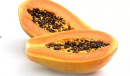 吃瓜能吃木瓜吗视频,揭秘木瓜的“吃瓜”奥秘