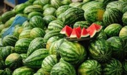 西瓜视频每日聪慧吃瓜