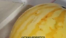 吃黄皮瓜视频大全,视频大全带你领略美味瞬间