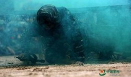 海上恶魔吃瓜视频,揭秘神秘海怪之谜