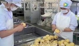 珠海校园吃瓜事件视频,揭秘校园内幕风波