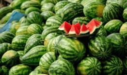 正能量网红吃瓜视频大全,趣味横生，笑料百出