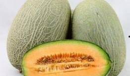 丑女吃哈密瓜视频大全,趣味视频大盘点