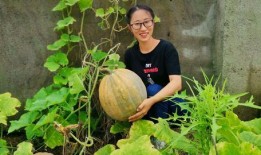 农村吃瓜视频,揭秘乡村生活趣味瞬间