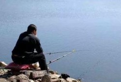 午时吃瓜钓鱼视频,一场别开生面的夏日休闲时光