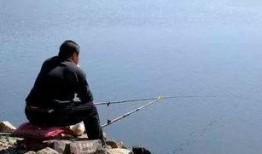 午时吃瓜钓鱼视频,一场别开生面的夏日休闲时光