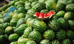 苏州吃瓜曝光视频大全下载,一网打尽本地热门事件瞬间