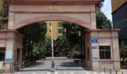 中央华府吃瓜事件视频,一场网络热议的幕后真相揭秘