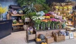 临海花店老板吃瓜视频播放,揭秘瓜界风云