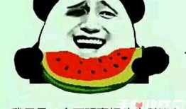 爆笑视频吃瓜吗是什么梗,揭秘网络热词背后的趣味与智慧