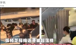 空姐吃瓜最新事件爆料视频,揭秘航班上的惊人一幕