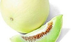 米熊可以吃白兰瓜吗视频,一场美味的邂逅