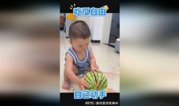 摆烂萌娃吃瓜视频全集在线观看,摆烂萌娃视频全集在线观看