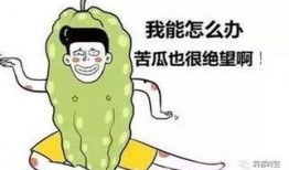 吃瓜三口之家视频,趣味横生的家庭日常