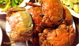 小螃蟹吃哈密瓜视频,小螃蟹的哈密瓜美食之旅