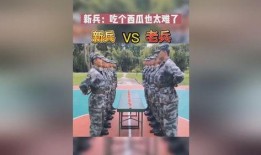 新兵老兵吃瓜视频播放在线观看,在线观看笑翻天