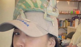 郭采洁吃瓜视频,揭秘娱乐圈幕后故事