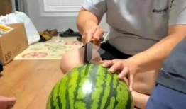 博主直播吃瓜视频,博主现场品尝瓜果，趣味横生吃瓜瞬间