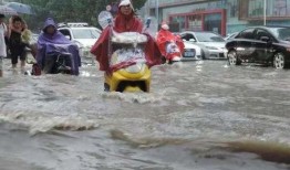 河南校园吃瓜事件视频,揭秘校园内幕引发热议