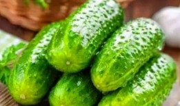 老瓜种怎么吃才好吃视频,视频揭秘美味老瓜的烹饪秘诀