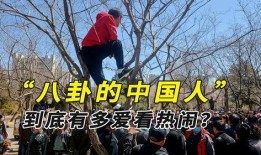 缅甸内战吃瓜群众视频,吃瓜群众视角下的冲突现场