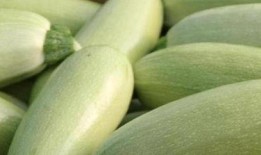 嫩的角瓜怎么吃最好吃视频,视频教你家常做法