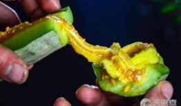 小兔子吃羊角蜜瓜视频,羊角蜜瓜美食之旅