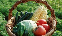 益禾堂员工吃瓜视频,内部趣事引发网友热议