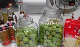 小瓜需不需要放醋吃呢视频,美味还是健康陷阱？