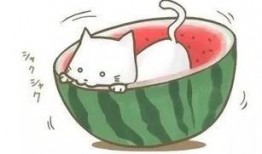 吃瓜视频有个动画片叫啥